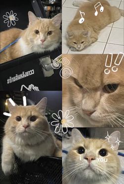 รูปภาพที่โพสต์โดย นับหนึ่ง🥇