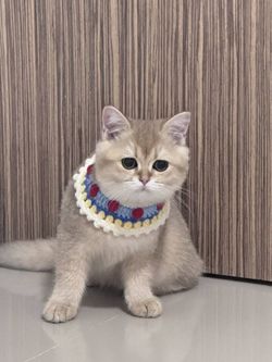 รูปภาพที่โพสต์โดย ??