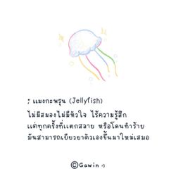 Image posted by หมาน้อยชอบกินชาเขียว🍵🧋
