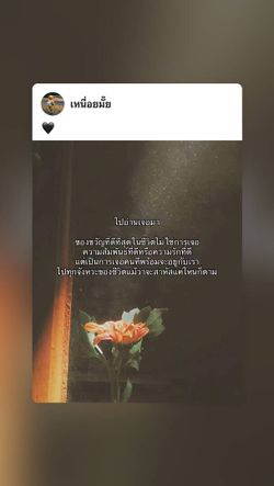 Image posted by หมาน้อยชอบกินชาเขียว🍵🧋