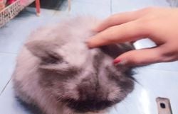 รูปภาพที่โพสต์โดย มีให้ดูในTW ✌🏻!! สาวโอตะ 🐰