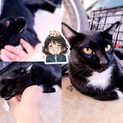 รูปภาพที่โพสต์โดย มีให้ดูในTW ✌🏻!! สาวโอตะ 🐰