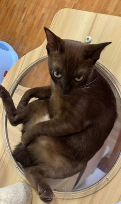Image posted by 𝐷 𝐸 𝑃 𝑅 𝐸 𝑆 𝑆 𝐼 𝑉 𝐸 .
