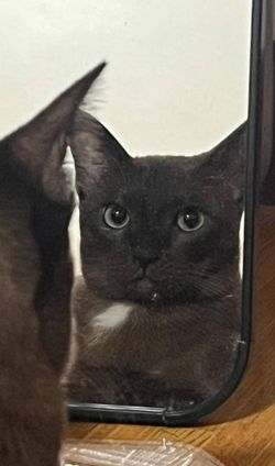 Image posted by 𝐷 𝐸 𝑃 𝑅 𝐸 𝑆 𝑆 𝐼 𝑉 𝐸 .