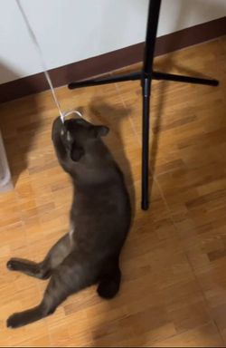 Image posted by 𝐷 𝐸 𝑃 𝑅 𝐸 𝑆 𝑆 𝐼 𝑉 𝐸 .