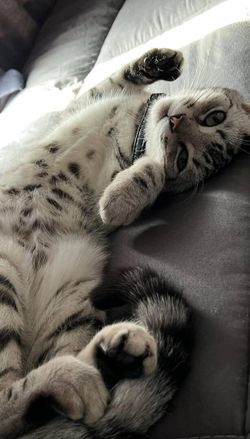 Image posted by 𝐷 𝐸 𝑃 𝑅 𝐸 𝑆 𝑆 𝐼 𝑉 𝐸 .