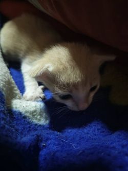 Image posted by 𝐷 𝐸 𝑃 𝑅 𝐸 𝑆 𝑆 𝐼 𝑉 𝐸 .
