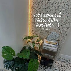 รูปภาพที่โพสต์โดย ॱଳ͘