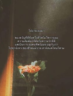รูปภาพที่โพสต์โดย ॱଳ͘