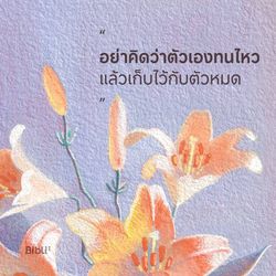 รูปภาพที่โพสต์โดย ॱଳ͘