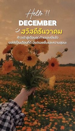 รูปภาพที่โพสต์โดย 🕊️ᴀʟᴏɴᴇ🕊️