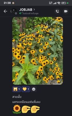 รูปภาพที่โพสต์โดย !!!