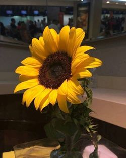 Image posted by 🌈☀️🌻💫