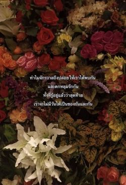 Image posted by 🌈☀️🌻💫