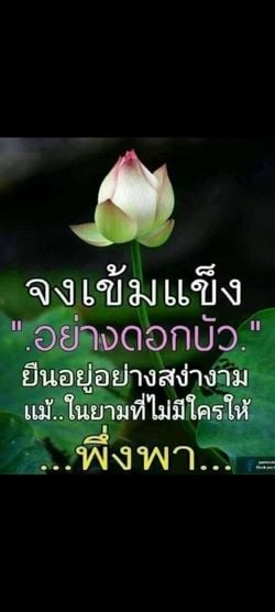 รูปภาพที่โพสต์โดย ลาก่อน Daddy <อายุ 56>