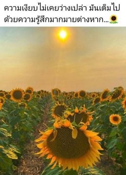 รูปภาพที่โพสต์โดย เหนื่อยจัง🥺꧁🌞ตะวันจันทรา🌝꧂