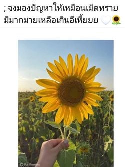 รูปภาพที่โพสต์โดย เหนื่อยจัง🥺꧁🌞ตะวันจันทรา🌝꧂