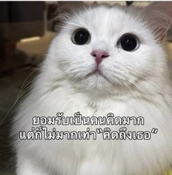 Image posted by 💫🌻Babi.Mild ..💞🌻🦨💫