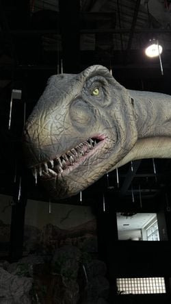 รูปภาพที่โพสต์โดย 👽