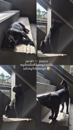 รูปภาพที่โพสต์โดย .YOLO 👽