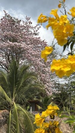 รูปภาพที่โพสต์โดย 🫧🫧 แชทเสีย€วกับบางคน(นิยมหนุ่มใหญ่ 40+)🫧🫧