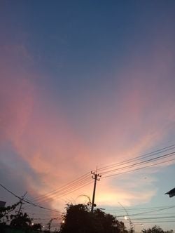 comments.image-posted-by