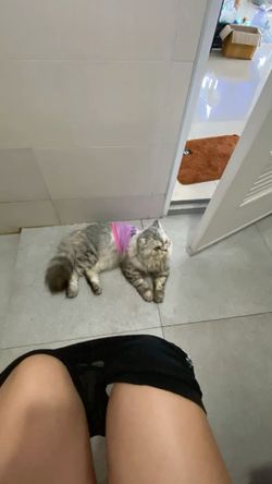 รูปภาพที่โพสต์โดย ส่งหน้าทั้งตัว=ตอบไวมาก