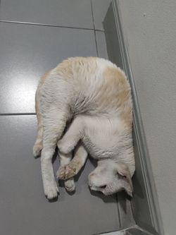 Image posted by มำแดว 🐈‍⬛