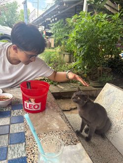 Image posted by มำแดว 🐈‍⬛