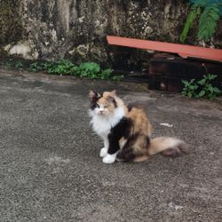 รูปภาพที่โพสต์โดย 不
