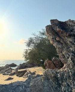 รูปภาพที่โพสต์โดย Ammm🧸