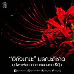 รูปภาพที่โพสต์โดย มุซัน 👹