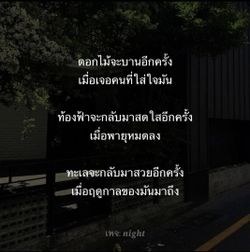 รูปภาพที่โพสต์โดย Tum