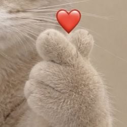 Image posted by 💁🏻‍♀️ MINMUN🧸