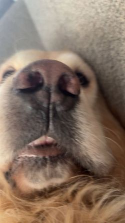 รูปภาพที่โพสต์โดย ​🐾♭♭ต๊ח¡~ตอ~♭ຕ่า~━═♪♫*•♪ ສຕรีຫນ∂ຢสีທ∂פ ♥  ສຕรีบ้าЊບาງแのS⇇♐​ 💯