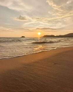 รูปภาพที่โพสต์โดย 💛