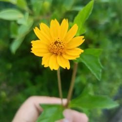 รูปภาพที่โพสต์โดย 💛