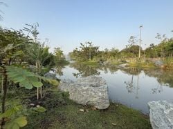 รูปภาพที่โพสต์โดย W҉̝̿̈́̕͢I҉̡̛͚̦̥́N̷̨͇͕̬̂͠D̷͇̬͑́͢͡.   🏔️🏝️