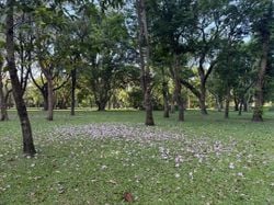 รูปภาพที่โพสต์โดย W҉̝̿̈́̕͢I҉̡̛͚̦̥́N̷̨͇͕̬̂͠D̷͇̬͑́͢͡.   🏔️🏝️