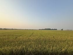 รูปภาพที่โพสต์โดย W҉̝̿̈́̕͢I҉̡̛͚̦̥́N̷̨͇͕̬̂͠D̷͇̬͑́͢͡.   🏔️🏝️