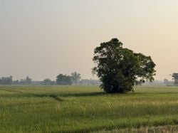 รูปภาพที่โพสต์โดย W҉̝̿̈́̕͢I҉̡̛͚̦̥́N̷̨͇͕̬̂͠D̷͇̬͑́͢͡.   🏔️🏝️