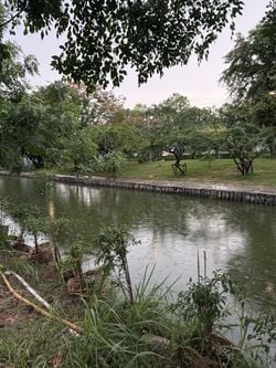 รูปภาพที่โพสต์โดย W҉̝̿̈́̕͢I҉̡̛͚̦̥́N̷̨͇͕̬̂͠D̷͇̬͑́͢͡.   🏔️🏝️