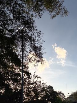 Image posted by D.