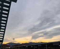 Image posted by D.
