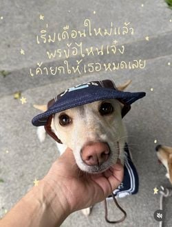 Image posted by 𝑰𝒏𝒆𝒓𝒕𝒊𝒂.