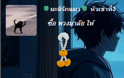 รูปภาพที่โพสต์โดย Lek Noi