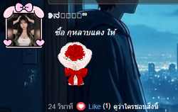 รูปภาพที่โพสต์โดย Lek Noi