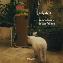 Image posted by 𝑶𝒗𝒆𝒓 𝑰𝒕.  🐈‍⬛