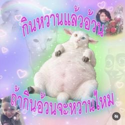 Image posted by ໒꒰ྀི ˶• ༝ •˶ ྀི১