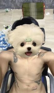 รูปภาพที่โพสต์โดย ฮัดเช้ย🤧